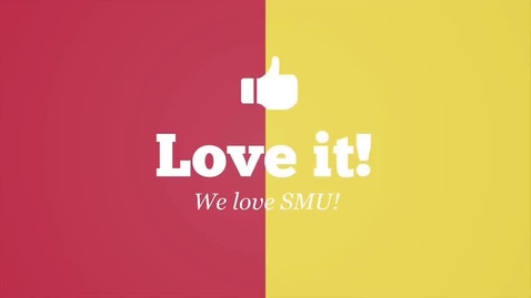 Thumbnail for SMU Patron's Day 2014 Highlights