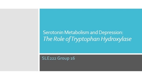 Thumbnail for entry SLE222 Serotonin Metabolism Group 16