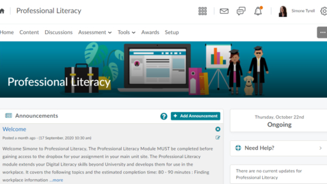 Thumbnail for entry Professional Literacy introduction and instructions