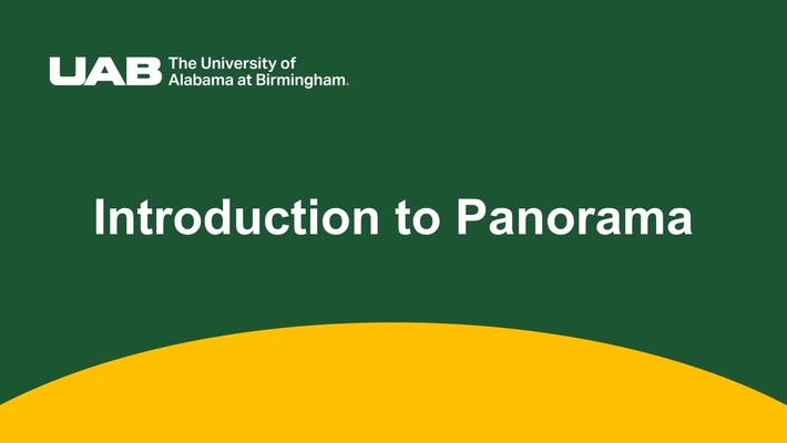 Introduction to Panorama