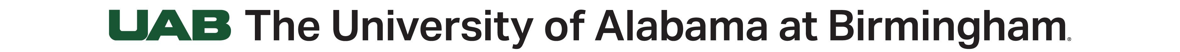 The University of Alabama at Birmingham