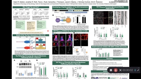 Thumbnail for entry Tau-SH3 interactions are critical for amyloid-β toxicity in primary neurons