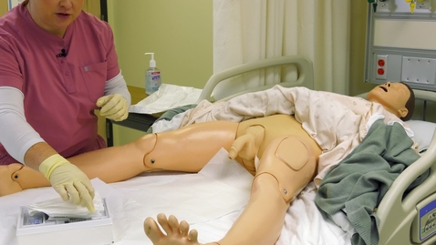 Thumbnail for 002 FOLEY