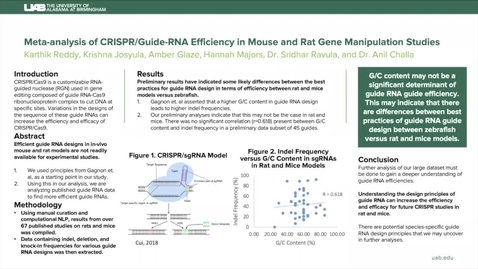 Thumbnail for entry UAB CRISPR Mouse Rat Meta-analysis