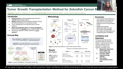 Thumbnail for Tumor Growth Transplantation Method for Zebrafish Cancer Model