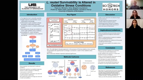 Thumbnail for entry L. reuteri Survivability is Altered in Oxidative Stress Conditions