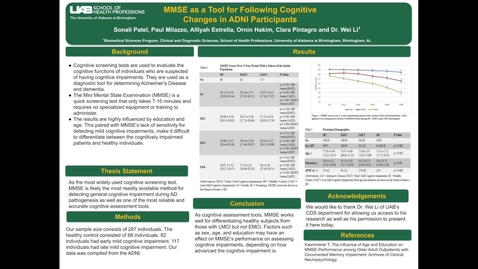 Thumbnail for MMSE Presentation