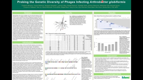 Thumbnail for Probing the Genetic Diversity of Phages Infecting Arthrobacter globiformis