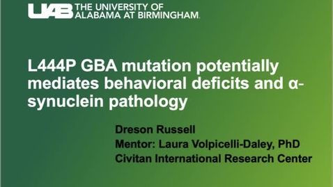 Thumbnail for entry L444P GBA mutation potentially mediates behavioral deficits and α-synuclein pathology 