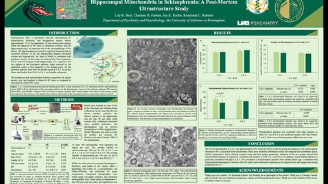 Thumbnail for RB Poster Presentation