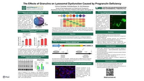 Thumbnail for entry The Effects of Granulins on Lysosomal Dysfunction Caused by Progranulin Deficiency