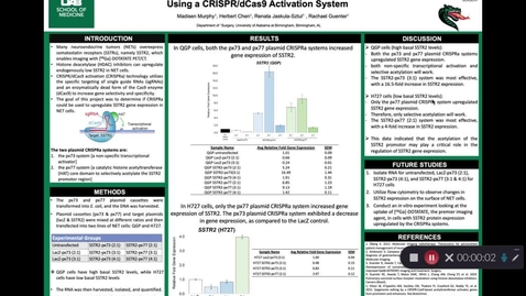Thumbnail for Upregulation of SSTR2 Gene Expression in Neuroendocrine Tumor Cells Using a CRISPR/dCas9 Activation System
