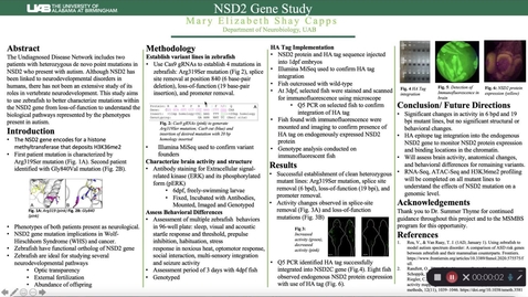 Thumbnail for NSD2 Gene Study