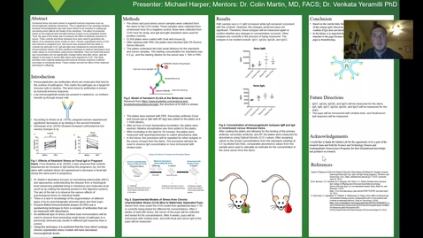 Thumbnail for Effects of Stress on Immunoglobulin Concentration in Emotionally Stressed Dams and Pups (Michael Harper)