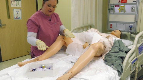 Thumbnail for 007 FOLEY