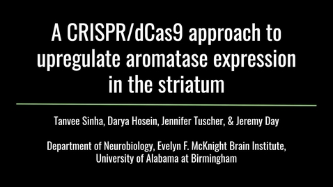 Thumbnail for entry A CRISPR/dCas9  approach to upregulate aromatase expression in the striatum