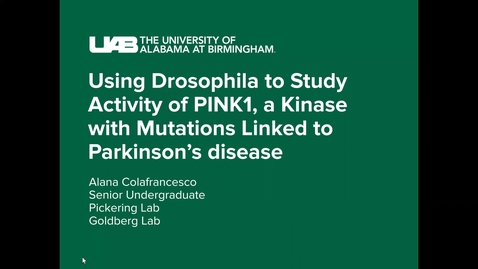 Thumbnail for Colafrancesco_UABExpo_OralPresentation