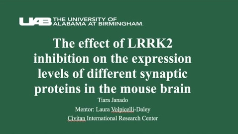 Thumbnail for The effect of LRRK2 inhibition on the expression levels of different synaptic proteins in the mouse brain