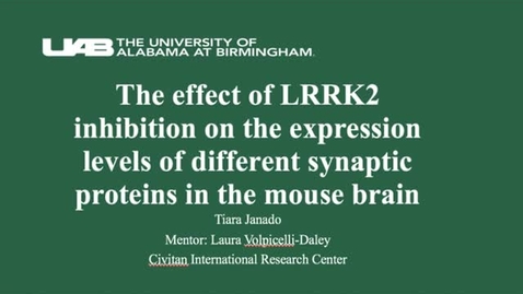 Thumbnail for entry The effect of LRRK2 inhibition on the expression levels of different synaptic proteins in the mouse brain