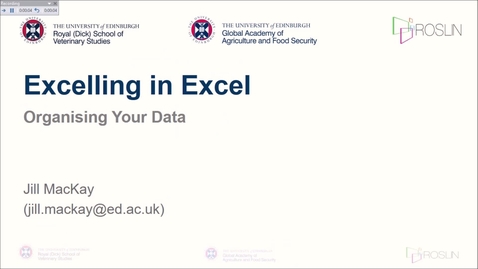 Thumbnail for entry Excelling in Excel: Data Organisation