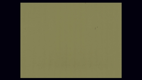 Thumbnail for 6638-grade Jump of the Flea.