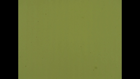 Thumbnail for 6640 - Jump of a Locust
