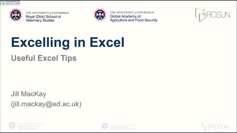 Thumbnail for entry Excelling in Excel: Tips and Tricks