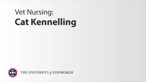 Thumbnail for entry Vet Nurse: Cat Kennelling