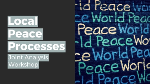 Thumbnail for Local Peace Processes