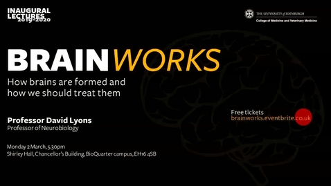 Thumbnail for entry Brainworks: How are brains formed and how should we treat them
