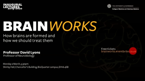 Thumbnail for Brainworks: How are brains formed and how should we treat them