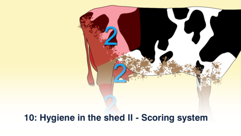 Thumbnail for entry 10: Hygiene in the shed II - Scoring system (v2)