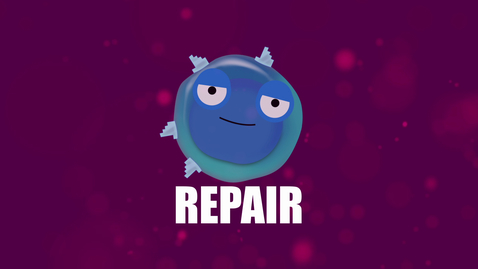 Thumbnail for Supercytes - How to say 'Repair'