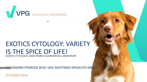 Thumbnail for Sunday, 13:45 - Alexandra Penrose: Exotics cytology: variety is the spice of life!