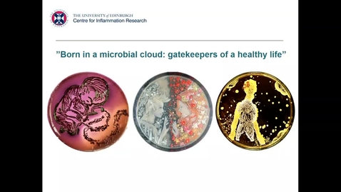 Thumbnail for entry Born in a microbial cloud: gatekeepers of a healthy life. Prof Debby Bogaert