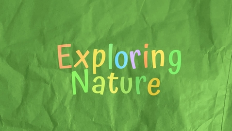 Thumbnail for STEP Starter Sack idea starters: Exploring Nature
