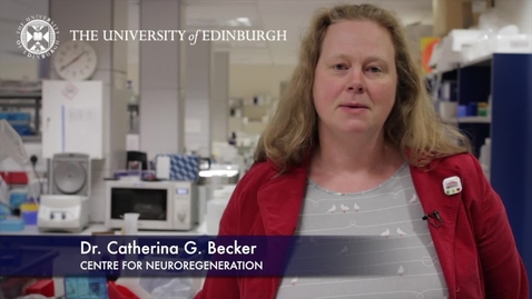 Thumbnail for entry Catherina Becker- Centre for Neuroregeneration- Research In A Nutshell- Edinburgh Neuroscience-21/05/2012