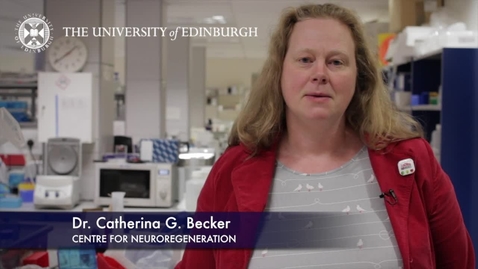 Thumbnail for Catherina Becker- Centre for Neuroregeneration- Research In A Nutshell- Edinburgh Neuroscience-21/05/2012