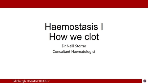 Thumbnail for Haemostasis 1 - How we clot