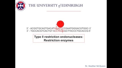 Thumbnail for entry Restriction enzymes