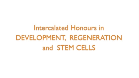 Thumbnail for entry Intercalated Honours in Development, Regeneration and Stem Cells