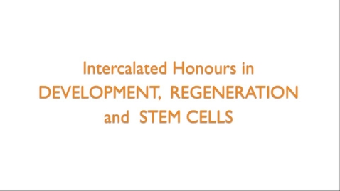 Thumbnail for Intercalated Honours in Development, Regeneration and Stem Cells