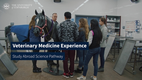 Thumbnail for entry Veterinary Medicine Experience – Study Abroad Science Pathway