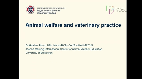 Thumbnail for entry Animal Welfare and Veterinary Practice