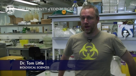 Thumbnail for entry Tom Little - Biological Sciences- Research In A Nutshell - School of Biological Sciences -22/01/2013