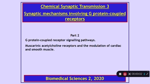 Thumbnail for entry BMS2: Chemical Synaptic Transmission 3 Part 2 Dr Phil Larkman