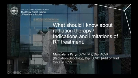 Thumbnail for Vet Clinical Club - 1st November 2023 - Magdalena Parys
