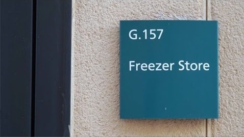 Thumbnail for The Freezer Project