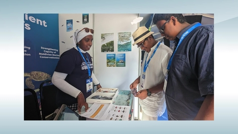 Thumbnail for Practical Interventions: Working With Communities - Marine Pollution
