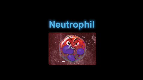 Thumbnail for entry Supercytes cartoon - Neutrophil